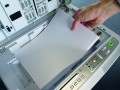 NISZCZARKA IDEAL SHREDCAT 8283 CC 4 x 10 mm